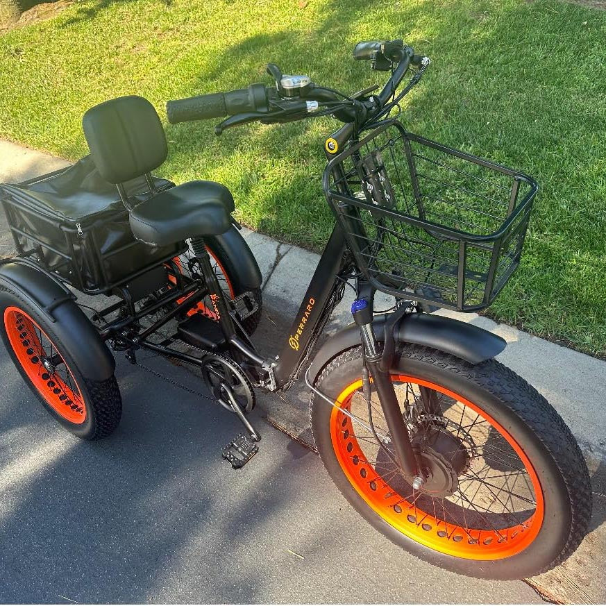 Understanding Reverse Trikes: A Comprehensive Guide