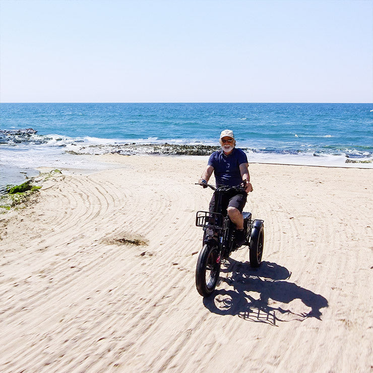 Panda Smart Electric Tricycle