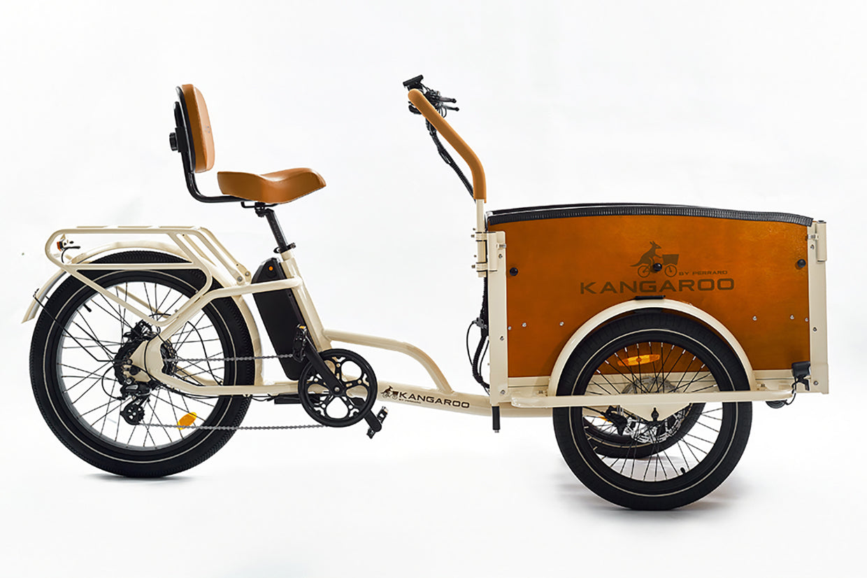 Perraro Kangaroo Front-Load Electric Cargo Trike (Family & Kids)