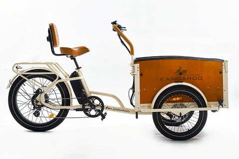Perraro Kangaroo Front-Load Electric Cargo Trike (Family & Kids)