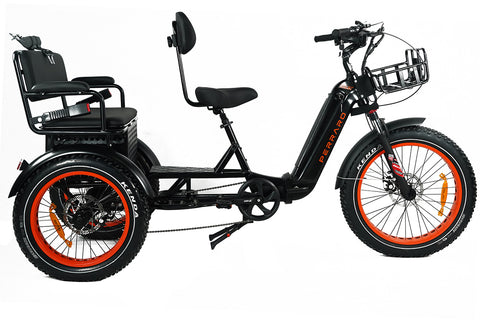 Ridex Passenger Seat Electric Trike
