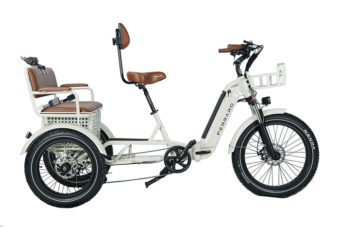 Ridex Passenger