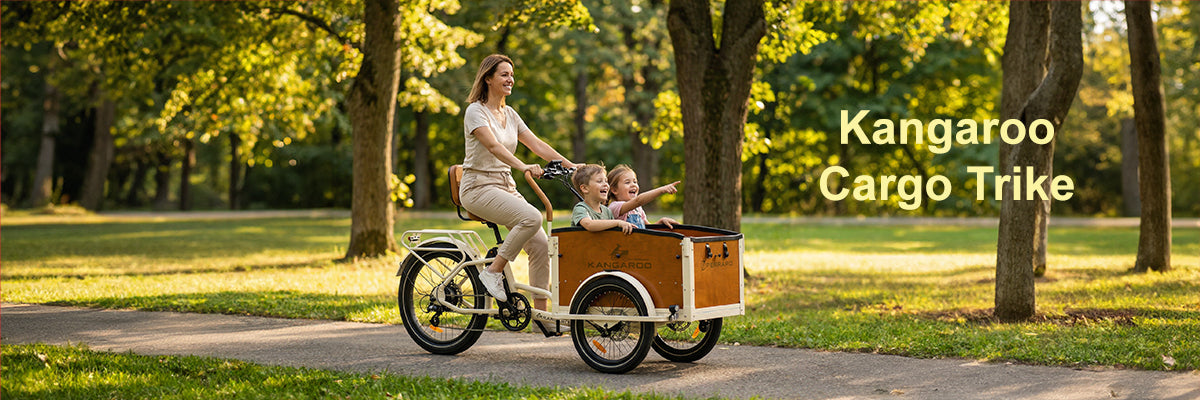 Perraro Electric Bike