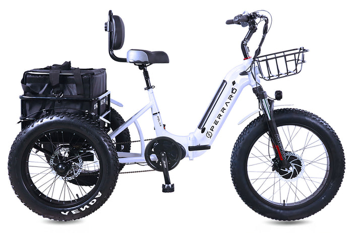 POLAR e-trike